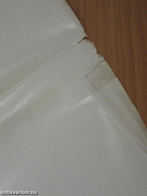 A Ganz Műszer Művek története