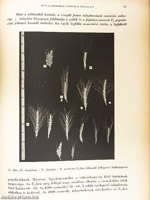 A Magyar Tudományos Akadémia Agrártudományok Osztályának Közleményei 1955/1-2.