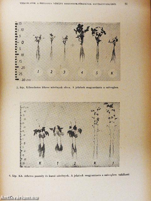 A Magyar Tudományos Akadémia Agrártudományok Osztályának Közleményei 1955/1-2.