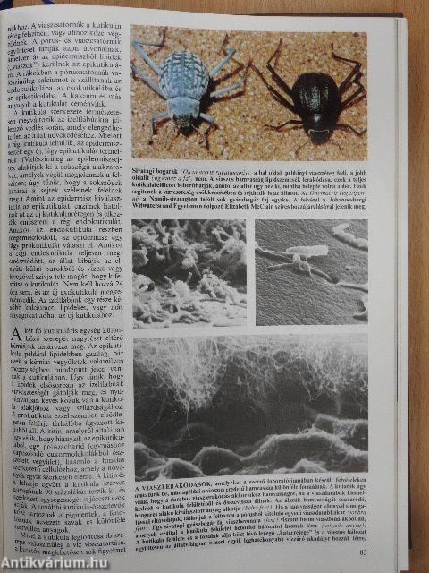 Tudomány 1986. január-december I-II. + 1 különszám