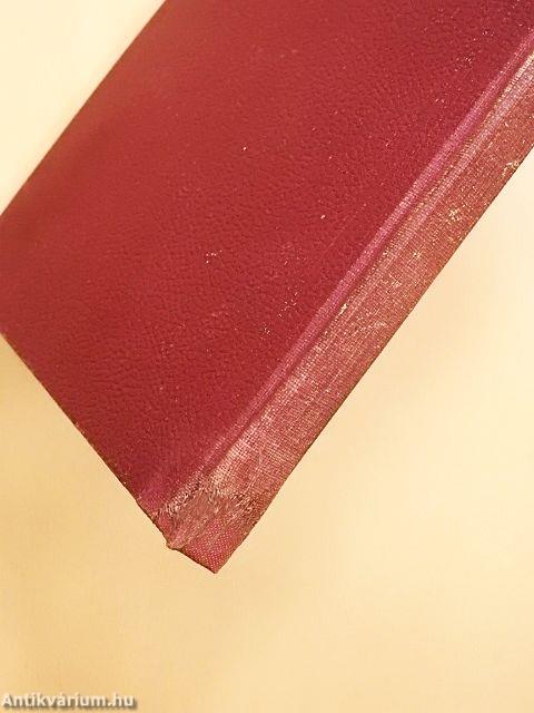 A pápa és a Vatikán