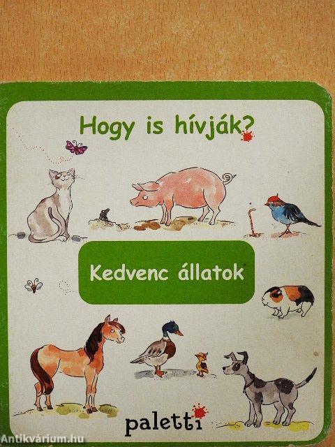 Kedvenc állatok