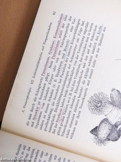 Zoologie im Grundriss