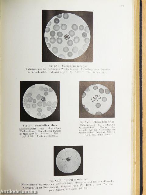 Zoologie im Grundriss