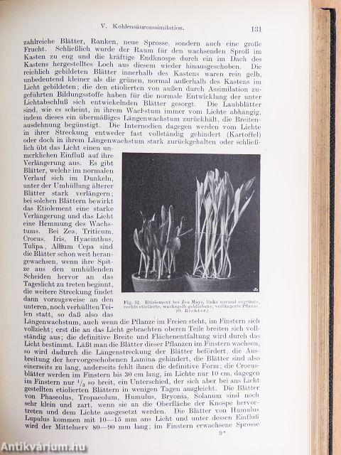 Ernährungsphysiologisches Praktikum der höheren Pflanzen