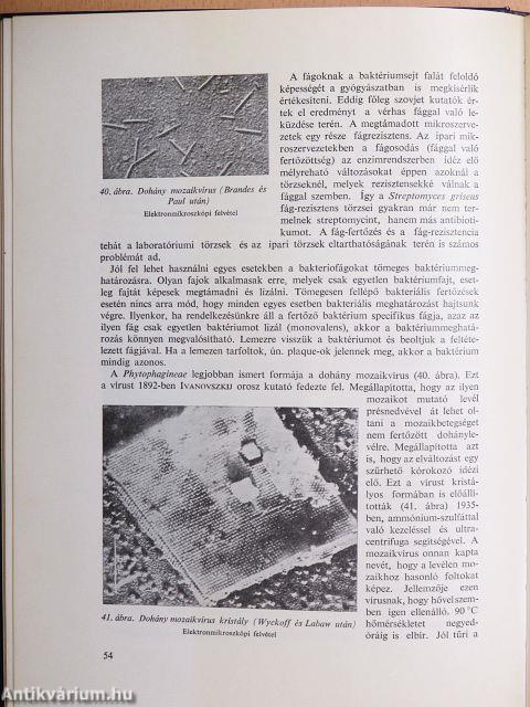 Mikrobiológia