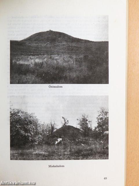 Solt nagyközség monográfiája