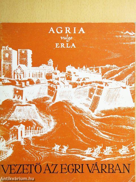 Vezető az egri várban