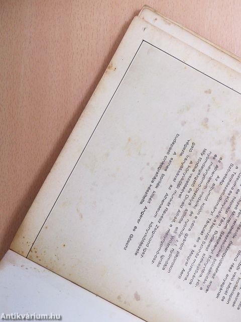 A nyolcvanéves Pesti Napló ajándék-albuma