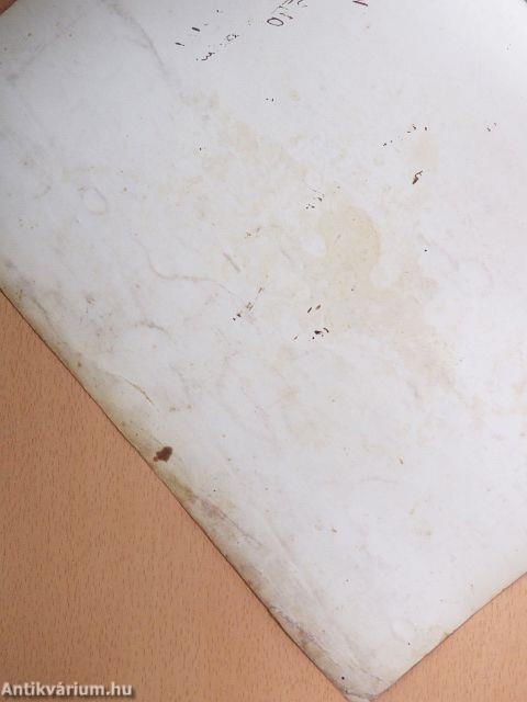 A nyolcvanéves Pesti Napló ajándék-albuma