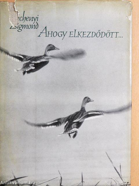 Ahogy elkezdődött...