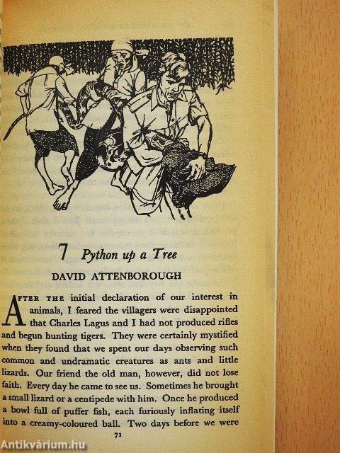 My Favourite Animal Stories