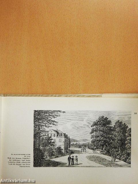 Jena - Das liebe närrische Nest