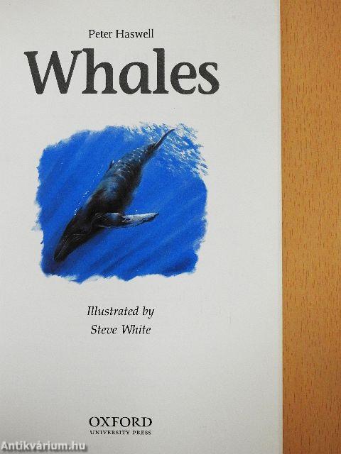 Whales