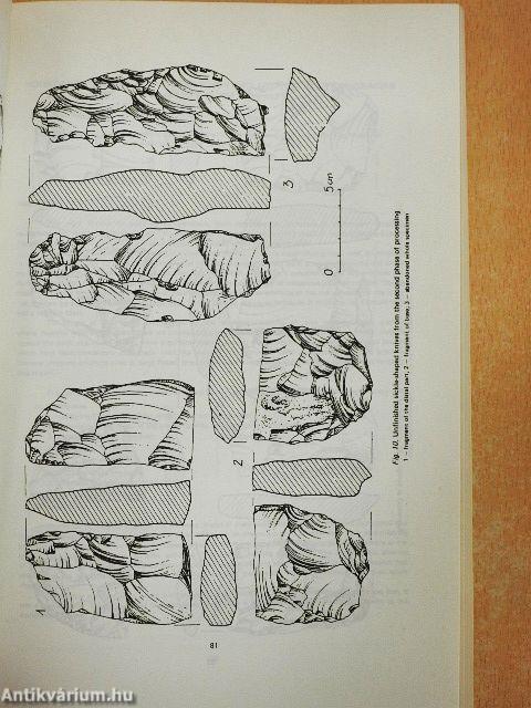 Őskori kovabányászat és kőeszköznyersanyag-azonosítás a Kárpát-medencében