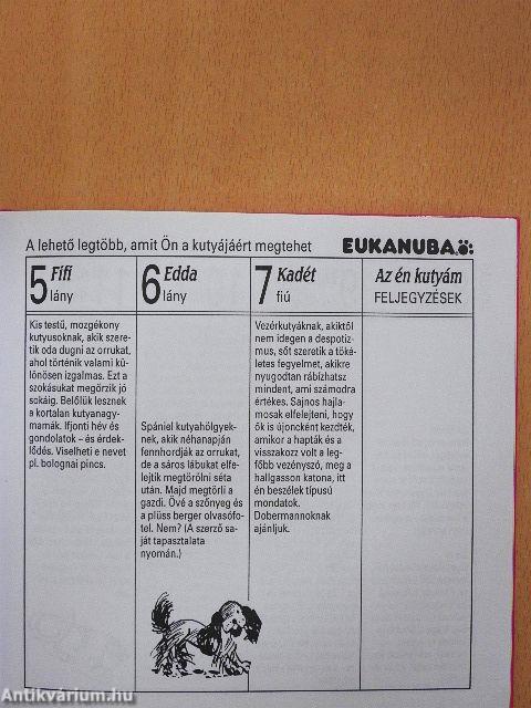 Állati boldog névnapok