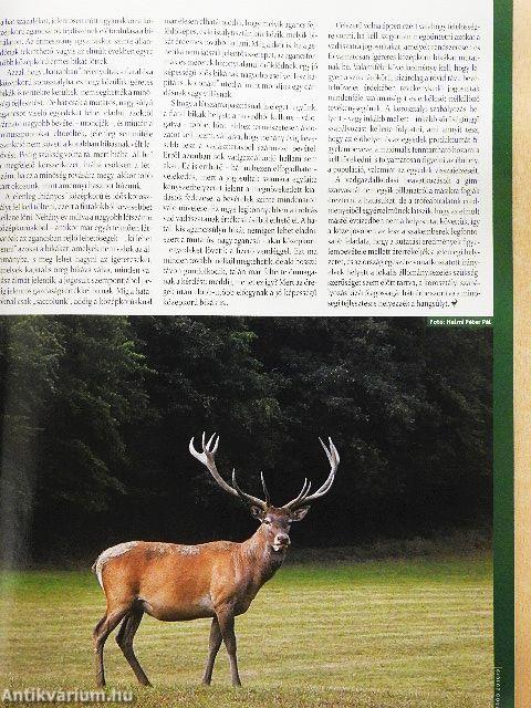 Nimród 2010. szeptember