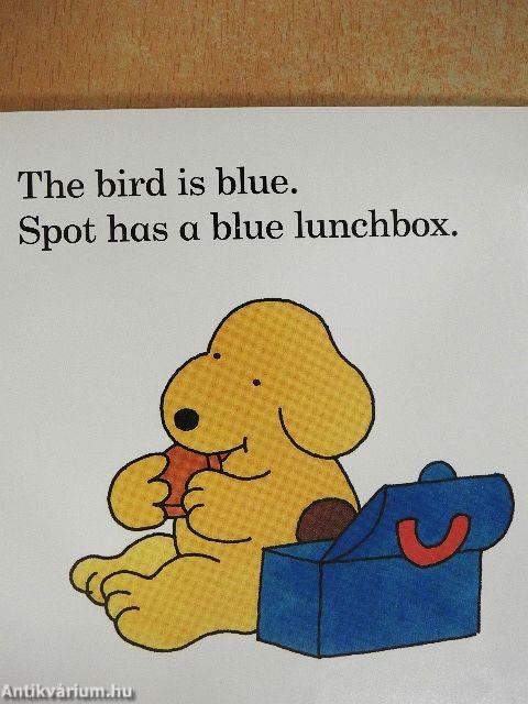 Spot Looks at Colours