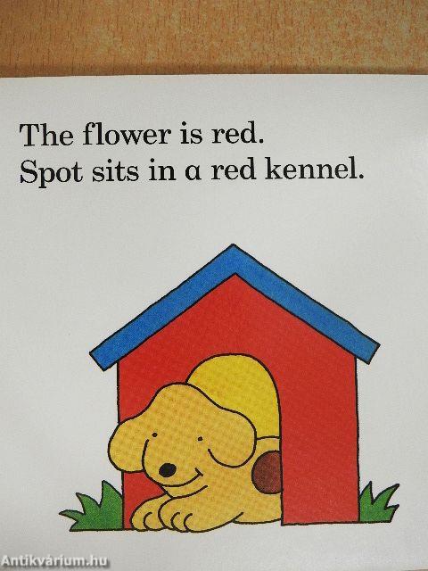 Spot Looks at Colours