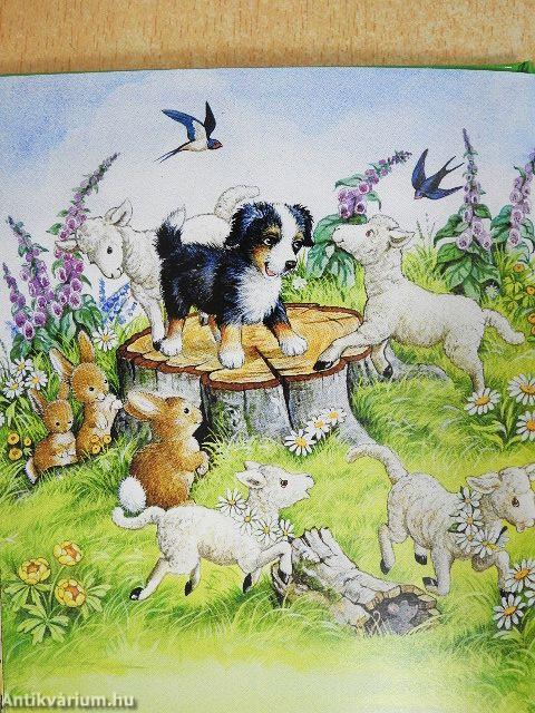 Meine schönsten Hundegeschichten