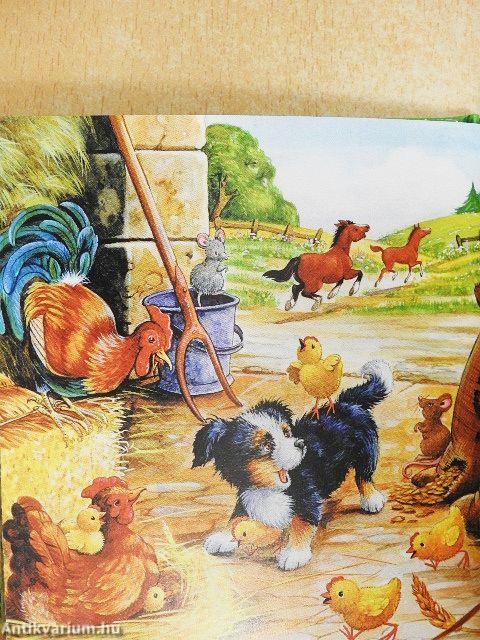 Meine schönsten Hundegeschichten