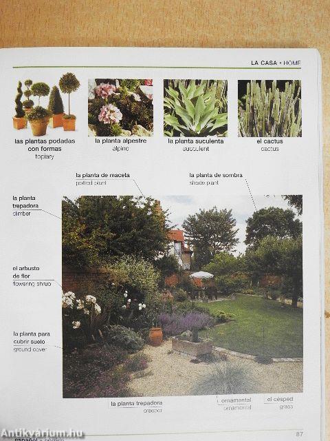 Spanish-English Bilingual Visual Dictionary