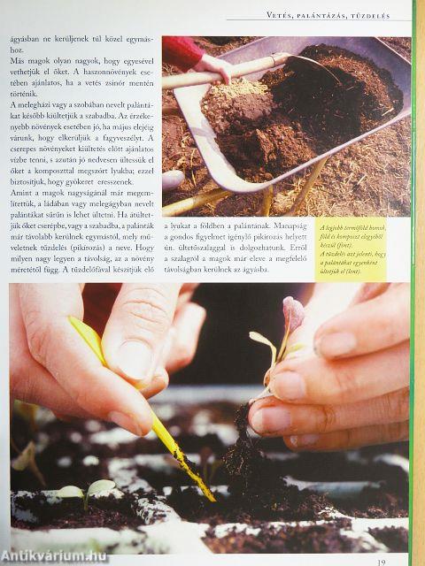 Jó tanácsok minden kerti munkához