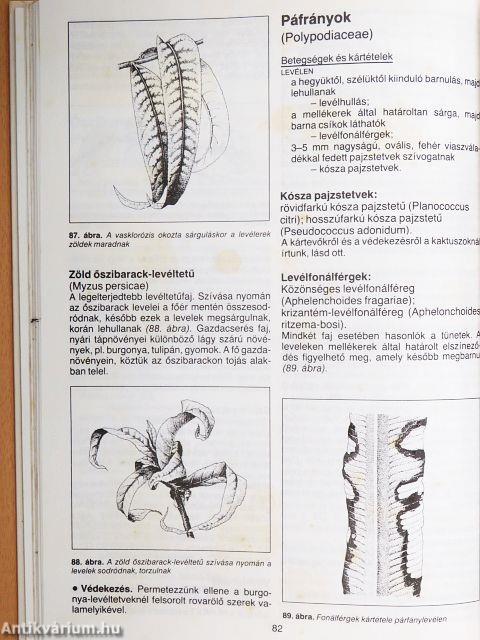 A növényvédelem ábécéje