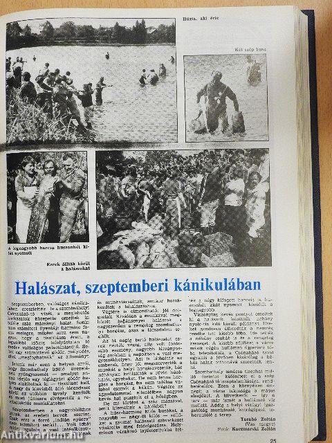 Magyar Horgász 1987-1988. (vegyes számok) (19 db)