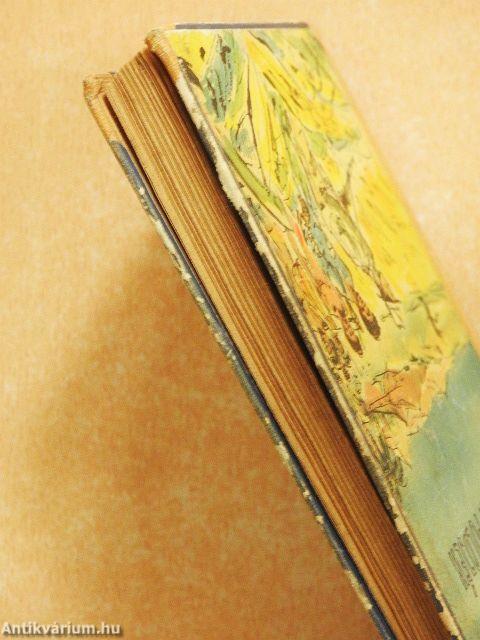 Kannibálok földjén