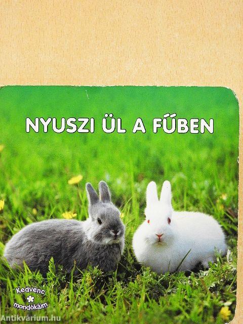 Nyuszi ül a fűben