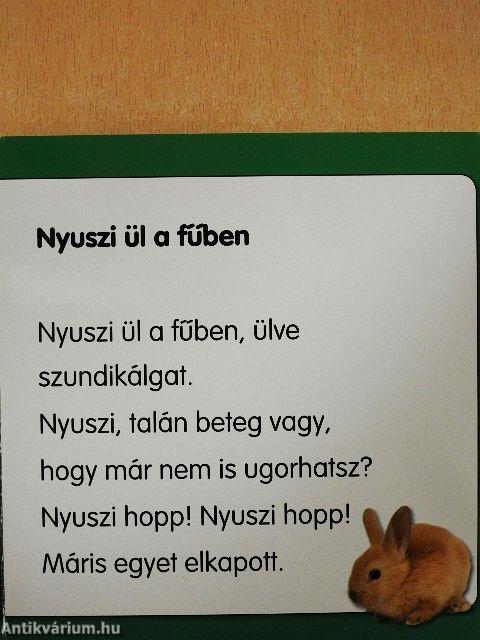 Nyuszi ül a fűben