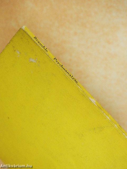 Psychoanalyse und Individualpsychologie