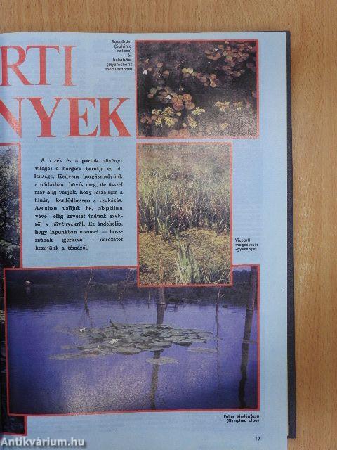 Magyar Horgász 1989-1990. (vegyes számok) (21 db)