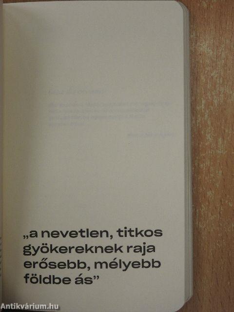 A nevetlen, titkos gyökereknek raja erősebb, mélyebb földbe ás