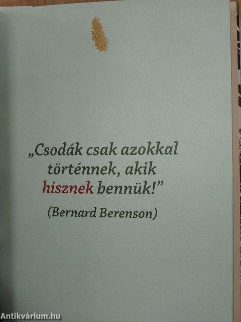 Boldog ünnepeket!