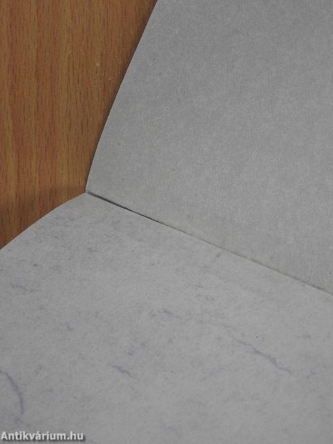 Az időörvény örökösei