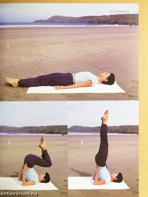 Szülessünk újjá 28 nap alatt!