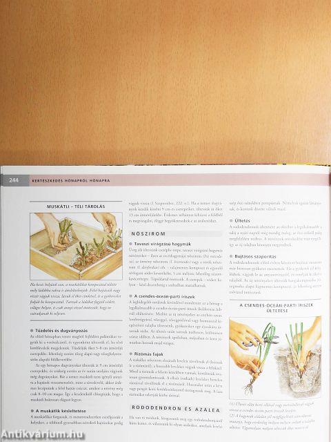 Kertészkedés hónapról hónapra