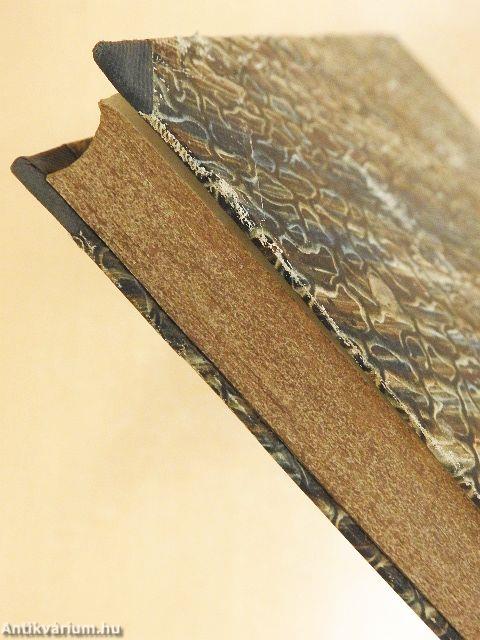 Bulletin de la Société de Saint-Vincent-de-Paul VIII.