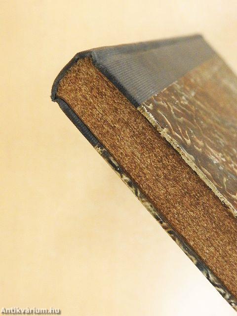 Bulletin de la Société de Saint-Vincent-de-Paul XVI