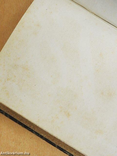 Bulletin de la Société de Saint-Vincent-de-Paul XVI