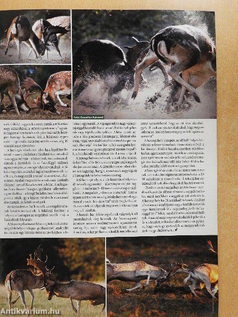 Nimród 2010. október