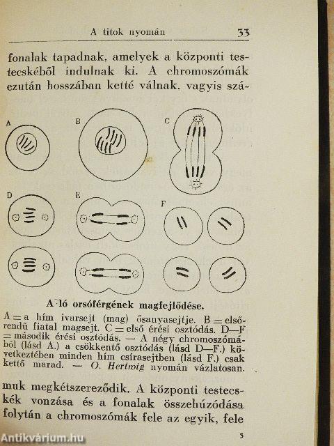 Rabok vagyunk vagy szabadok?