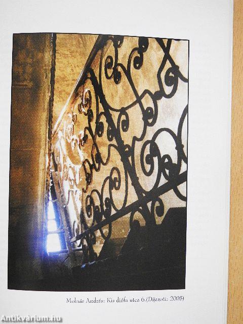 Az én Erzsébetvárosom