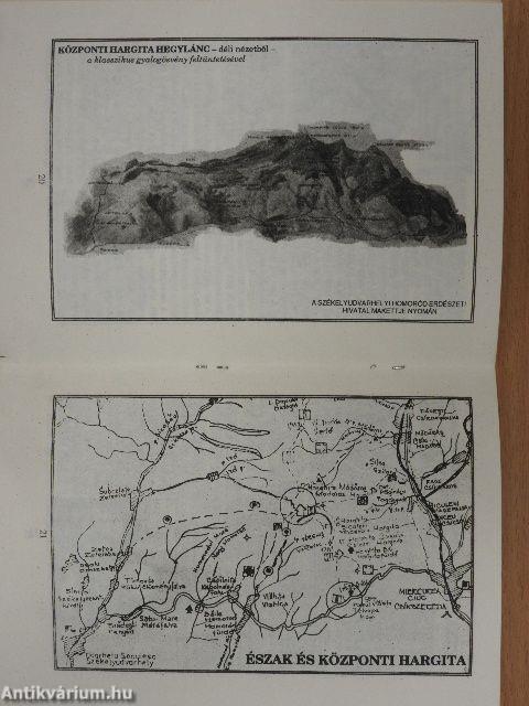 Évtizedek viharában