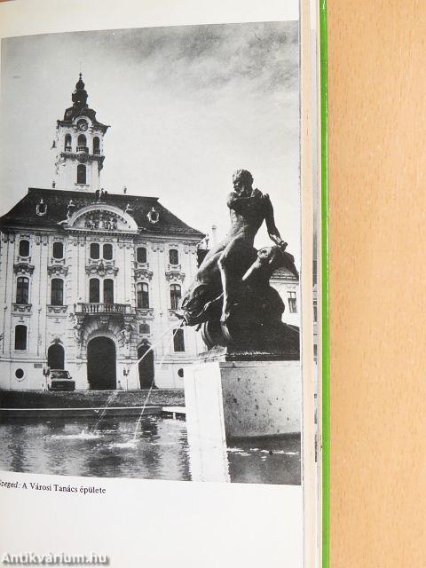 Csongrád megyei útikönyv