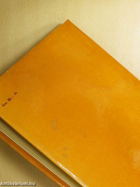 A független magyar külpolitika 1848-1849