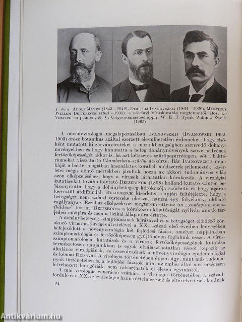 Növényvírusok, vektorok, vírusátvitel