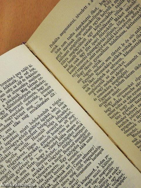 Bouvard és Pécuchet